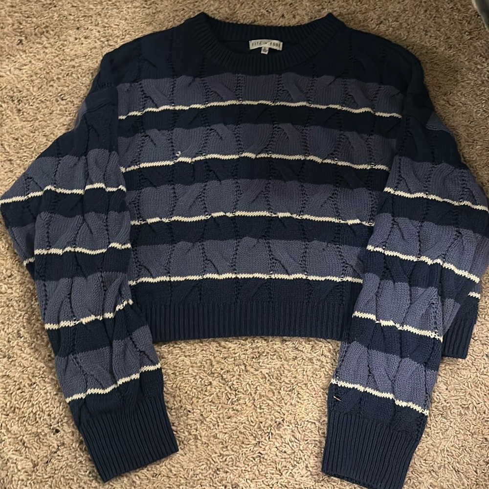 cropped Fitz and Eddi sweater